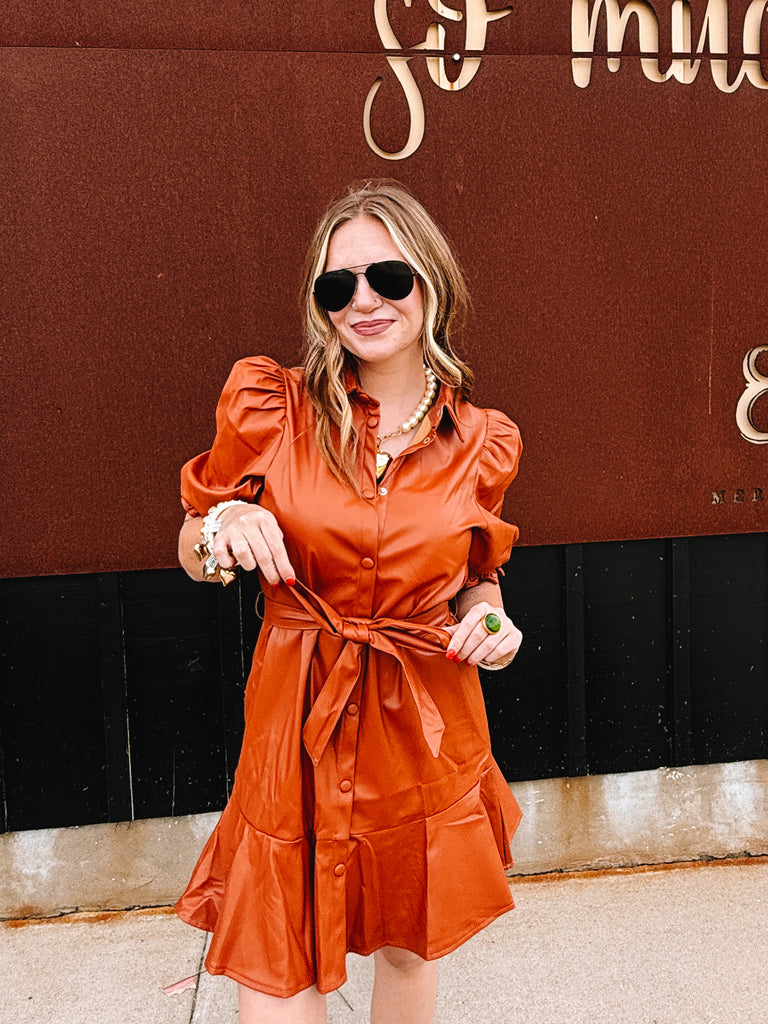 Collar Neck Puff Sleeve Mini Dress